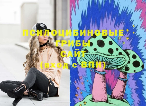 мет Протвино